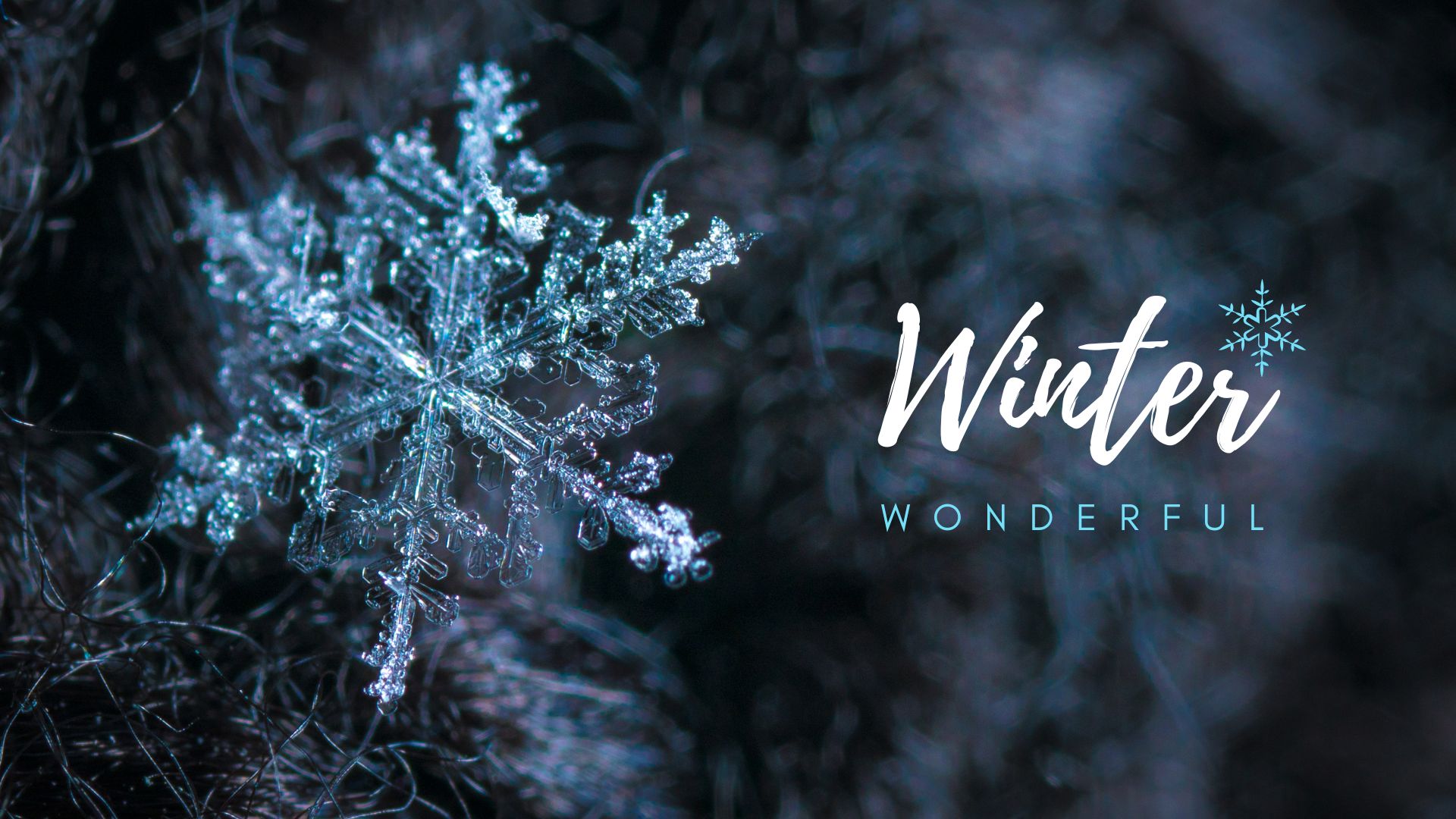 winter-wonderful