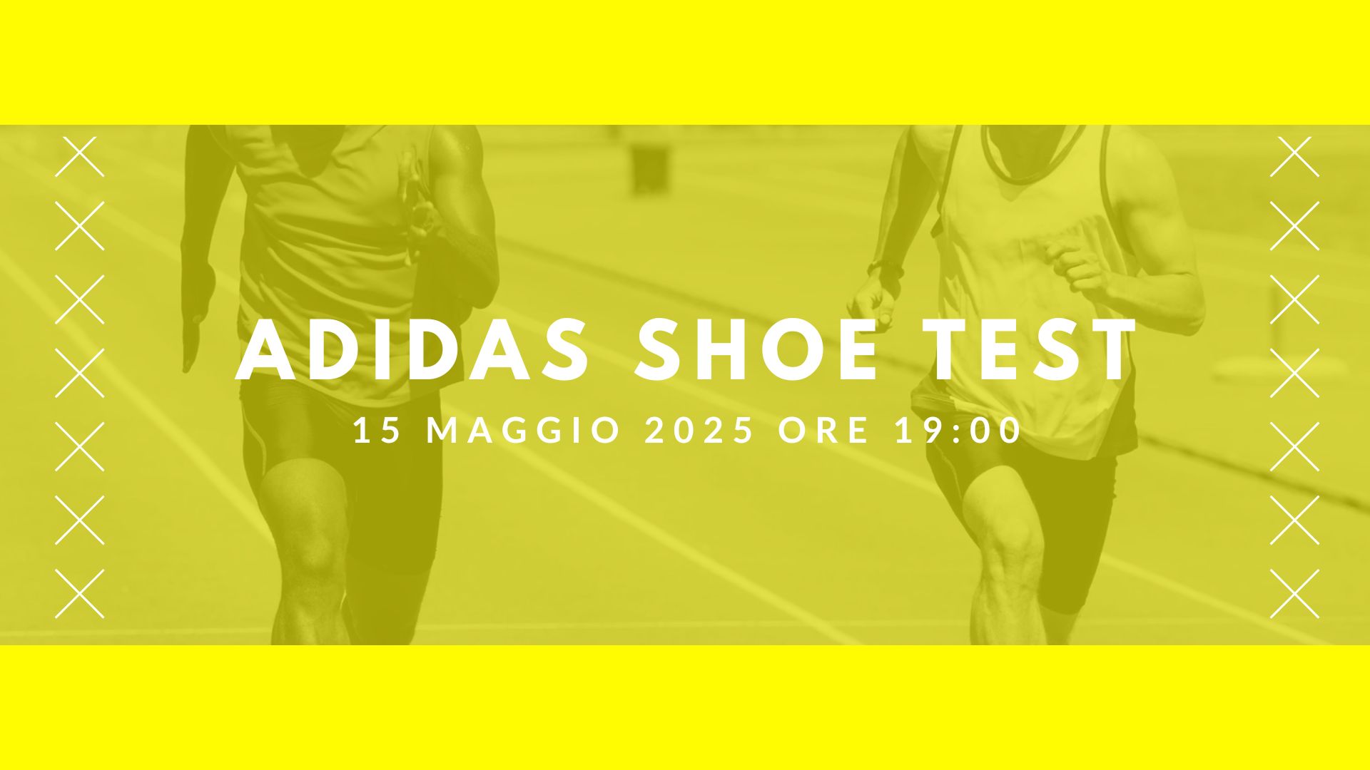 ADIDAS SHOE TEST NEWSLETTER