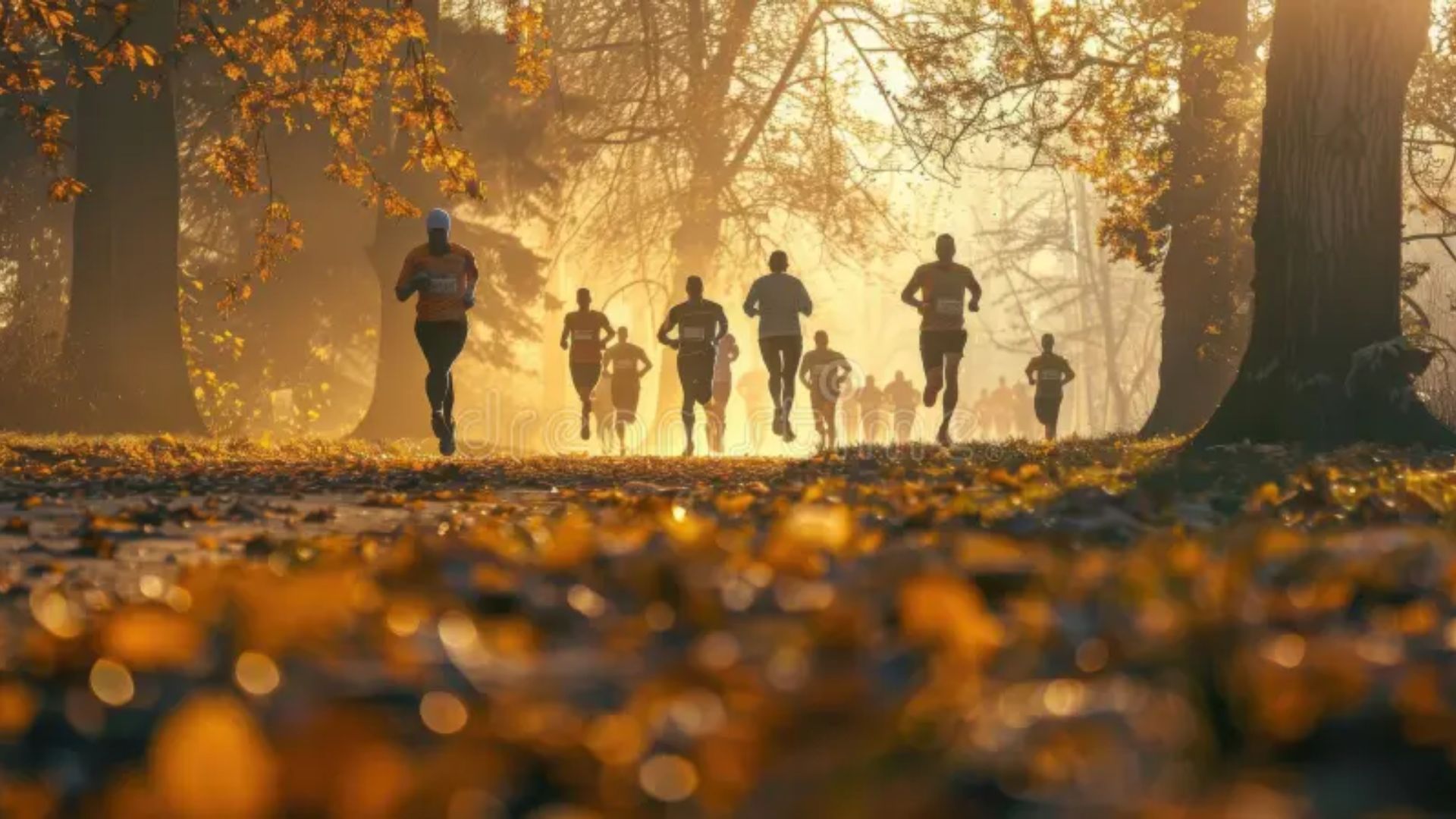 newsletter-autunno